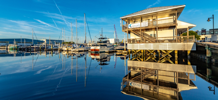 Ocean Yacht Marina